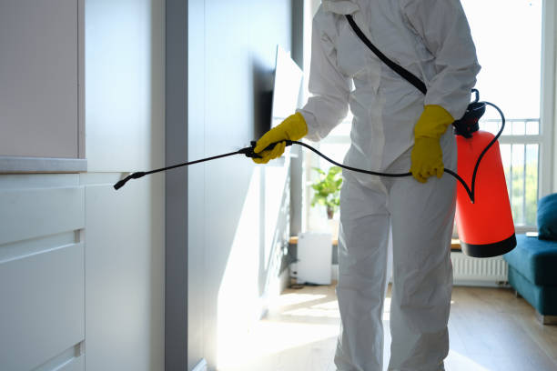 Professional Mold Remediation in Lakefield, MN